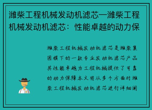潍柴工程机械发动机滤芯—潍柴工程机械发动机滤芯：性能卓越的动力保障